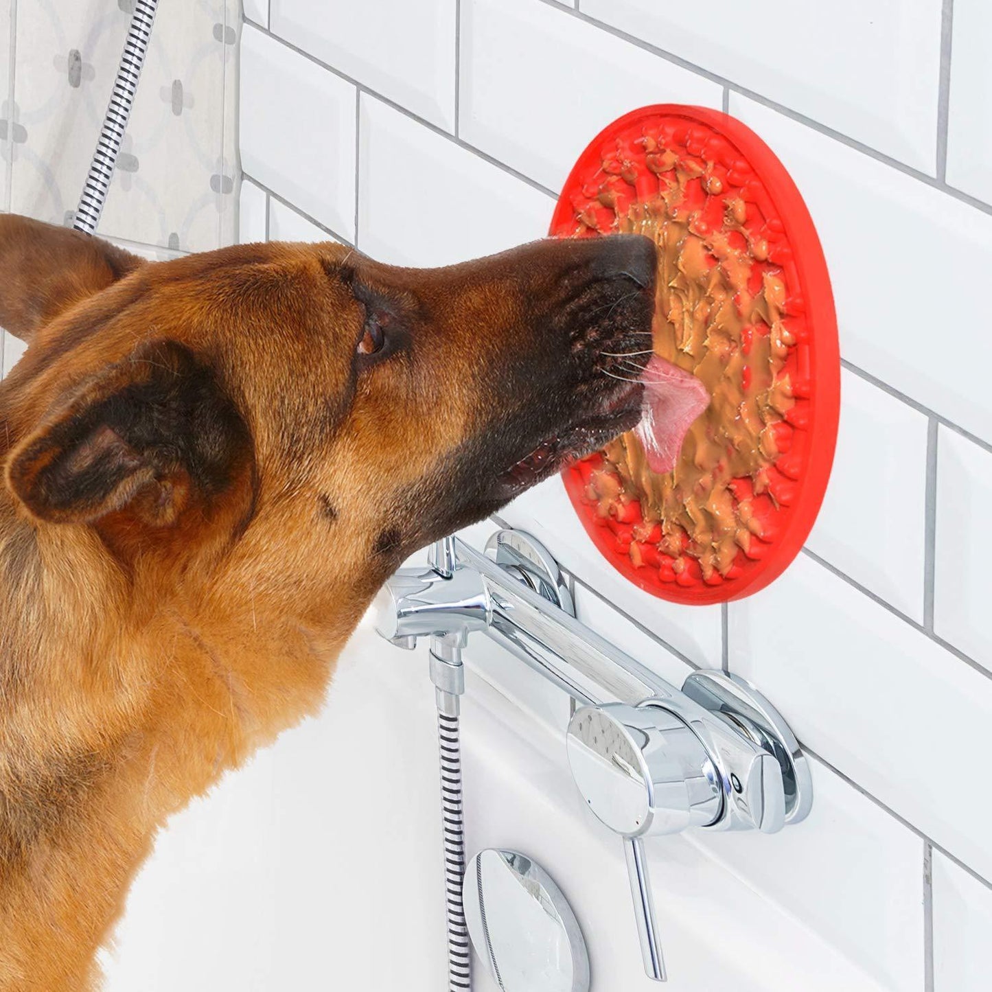 Tappetino per cani da leccare - per mantenere il vostro cucciolo calmo e felice