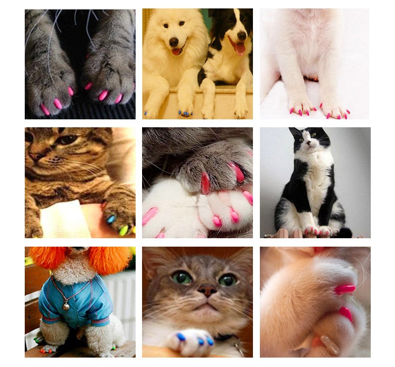 Simple and Creative Pet Cat Nail Covers – Soft, Protective Claw Caps